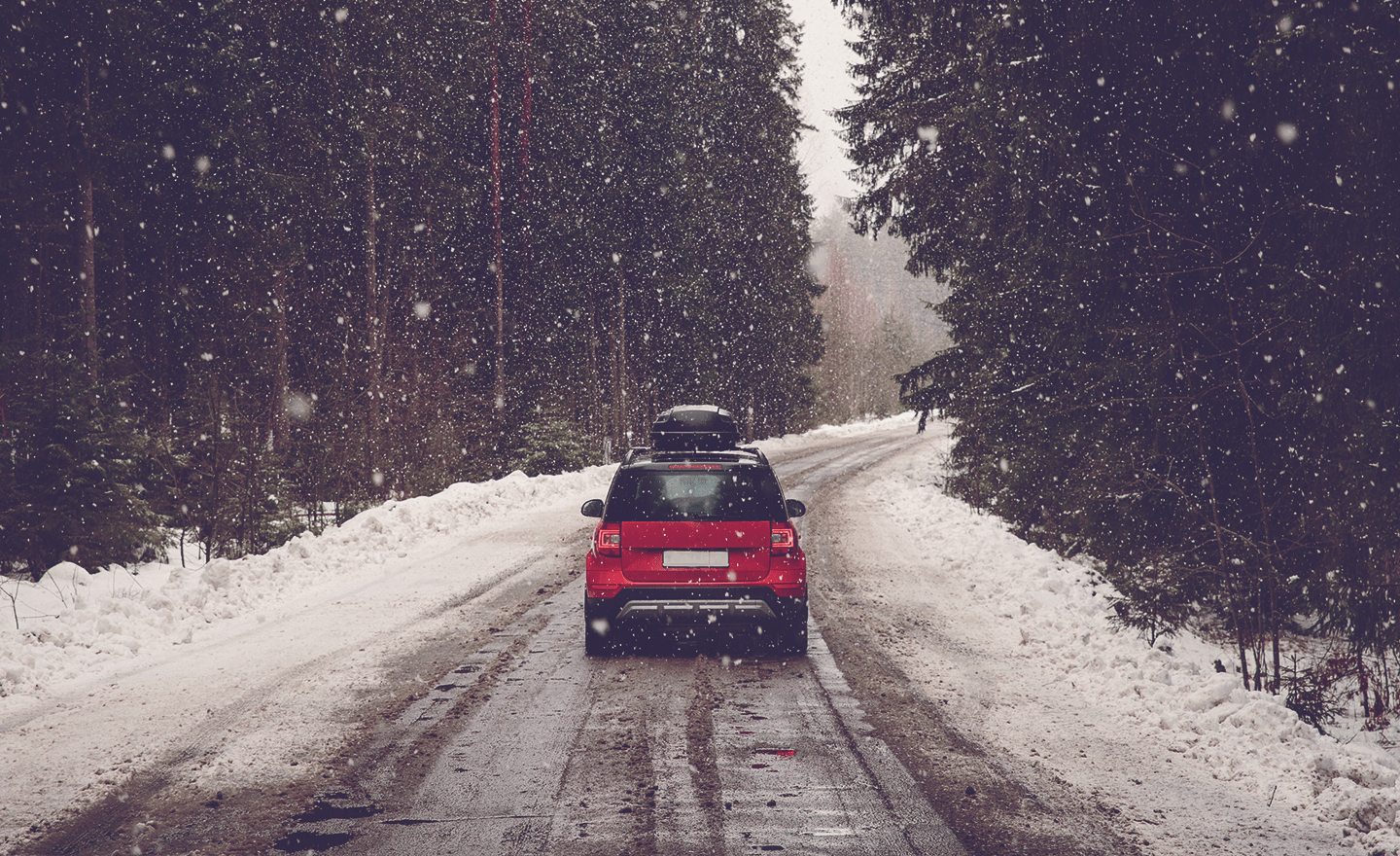 Are Red Cars The Most Expensive To Insure