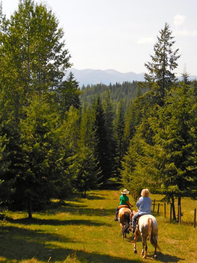 Trail Ride