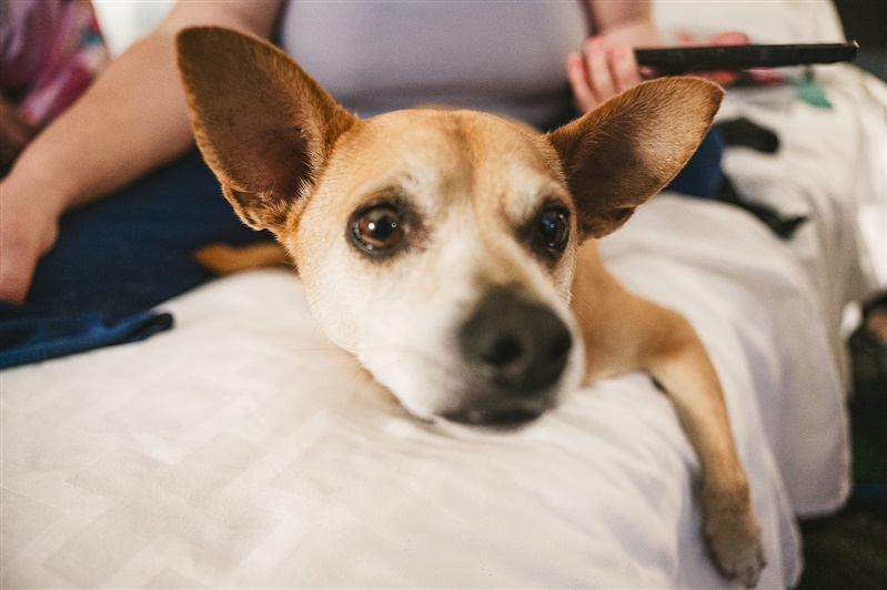 10-22-2021 - Carlota and Bill