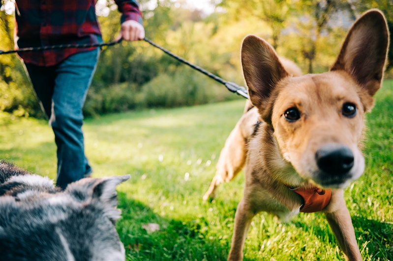 Courtney and Cliff- Engagement