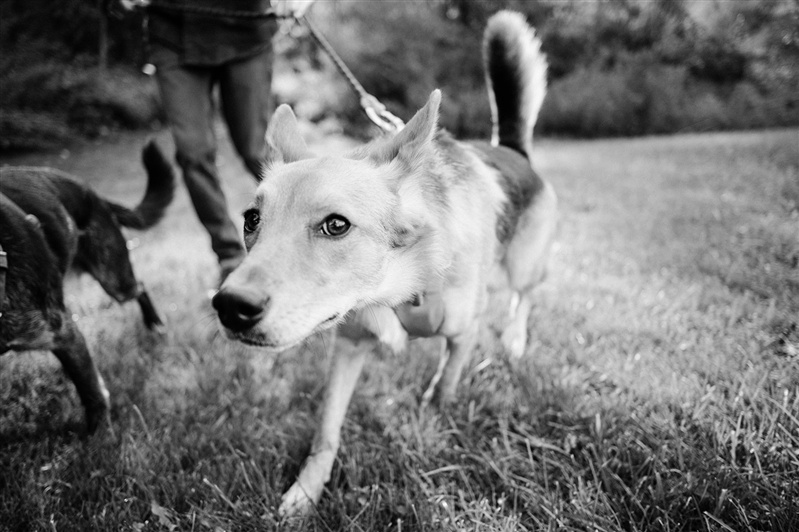 Courtney and Cliff- Engagement