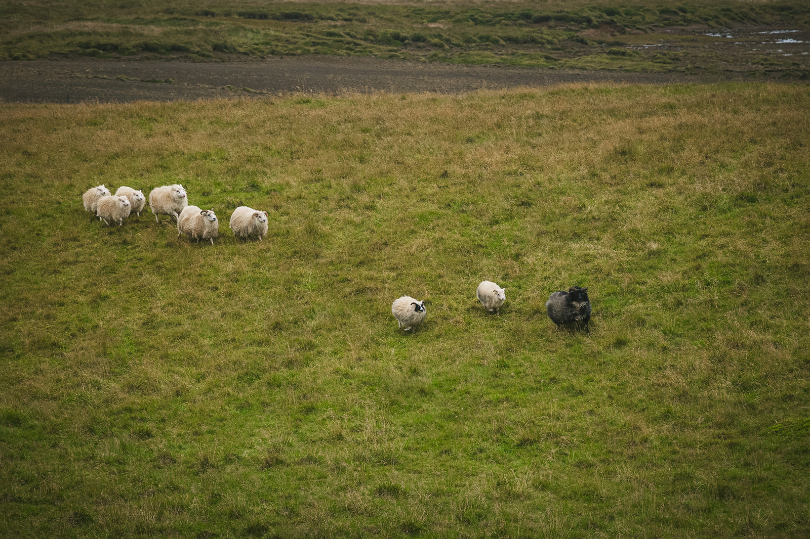 9-5-2024 - Iceland Elopement