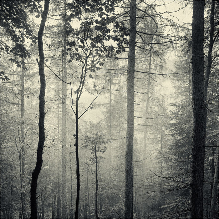 solitude