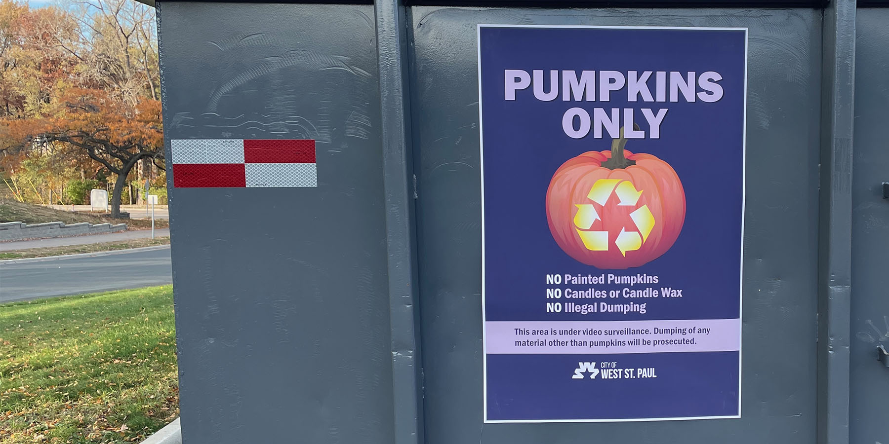 Pumpkins only