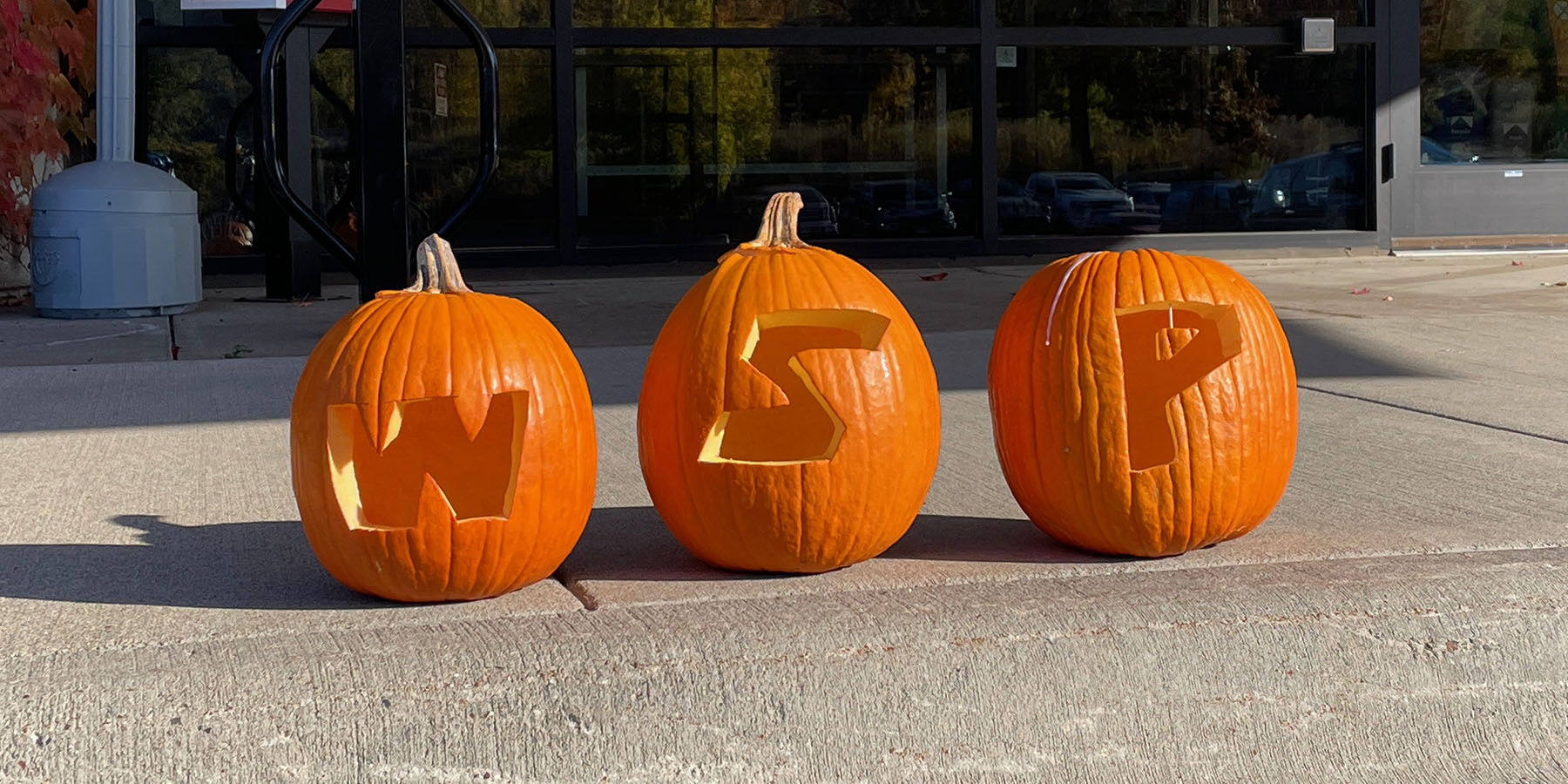 Carved pumpkins spelling WSP