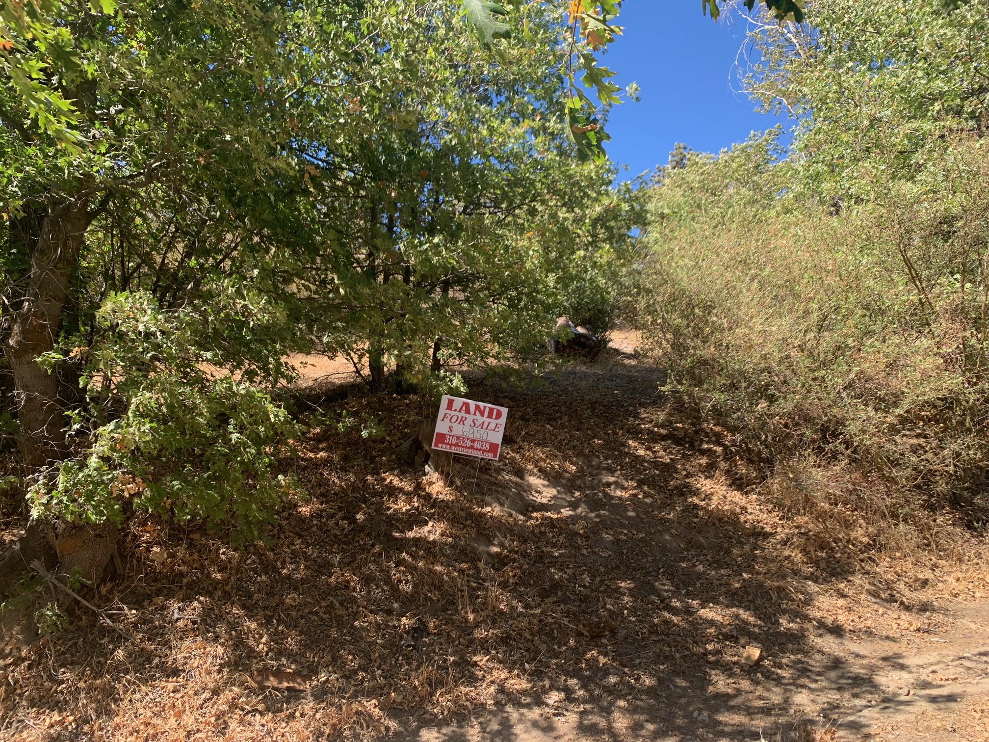 .07 Acres For Sale In Cedar Glen, CA Westview Land