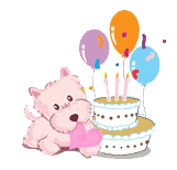 B U O N C O M P L E A N N O A S T R A