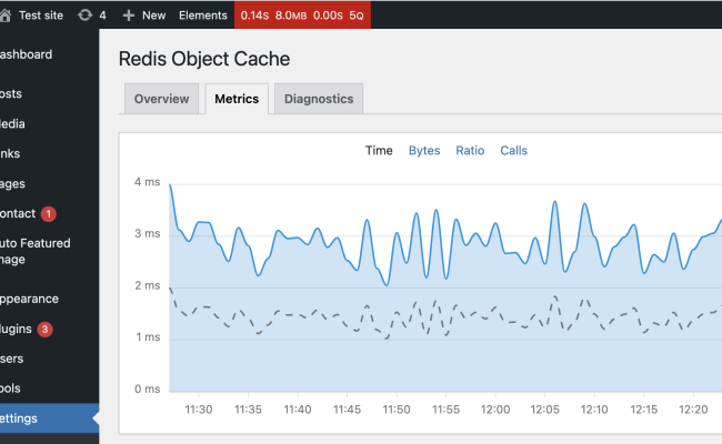 Redis Object Cache For WordPress: Complete Guide - Wetopi