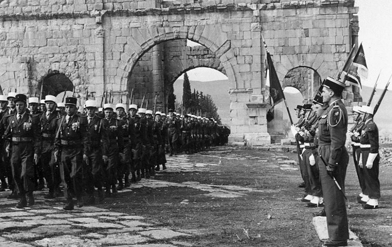 Historia marki Palladium