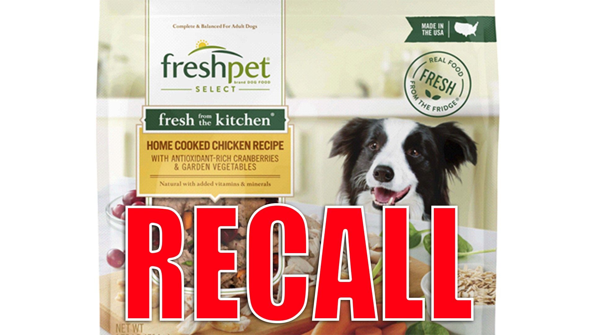 Can Dog Food Recall 2019 - Premium Colorful Background Gallery - Ultra HD
