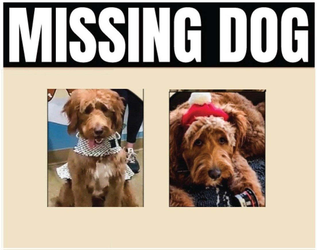 Missing Dog Phantom Fireworks - Stunning Mobile Sunset Images | Free Download