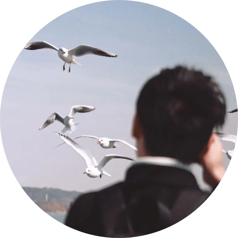 Ceph Wfuing S Blog - Premium Landscape Photo Gallery - 8K