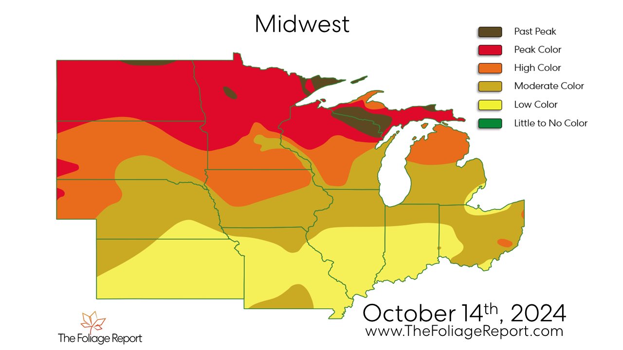 Fall Colors Chicago Area Peak Expected In The Next 1 2 Weeks WGN TV IMG 9041 