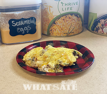 THRIVE THURSDAY: EGG OMELET