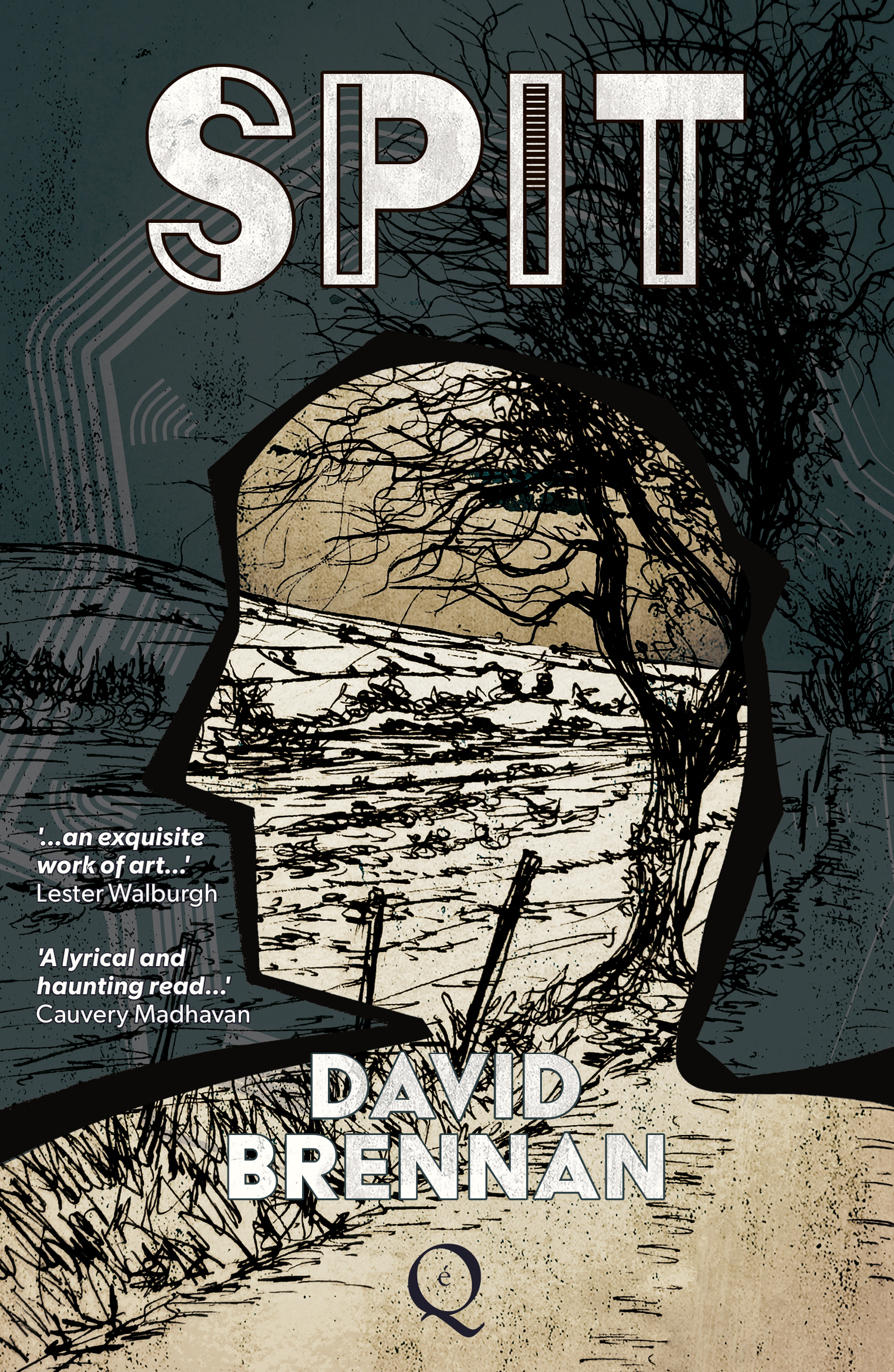 Book Review – SPIT by David Brennan – What Cathy Read Next…