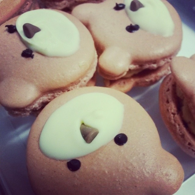 Teddy bear macarons recipe