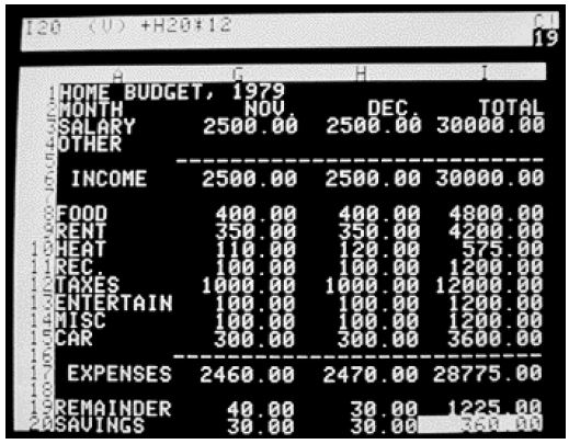 1979 home budget spreadsheet with expenses.