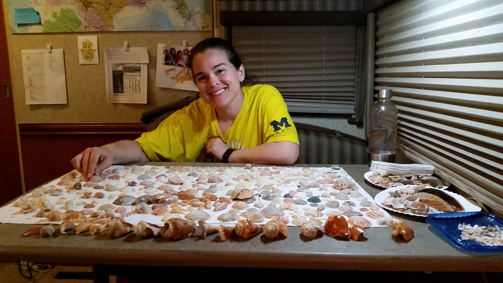 Sorting through shells