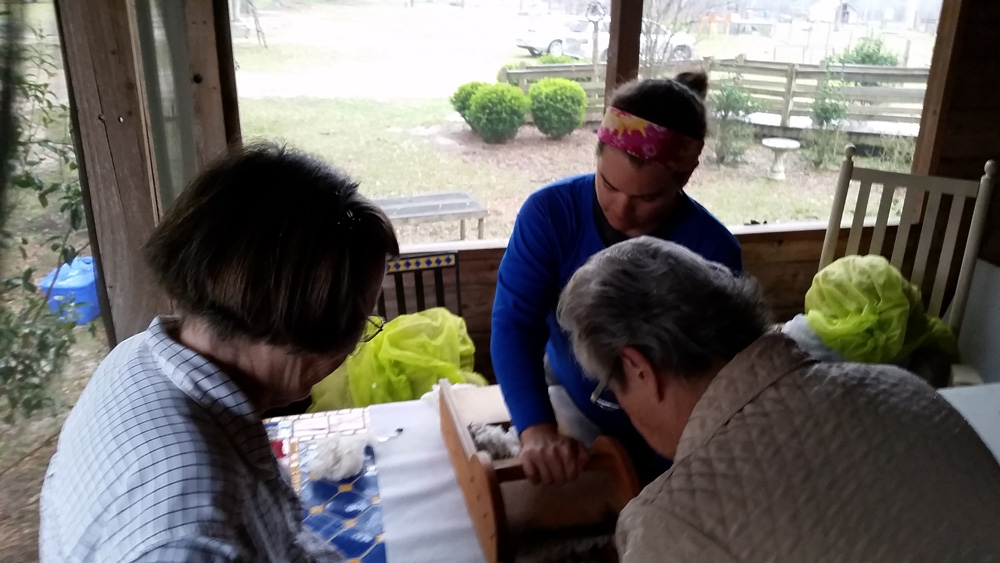 Helping to tease fresh wool.