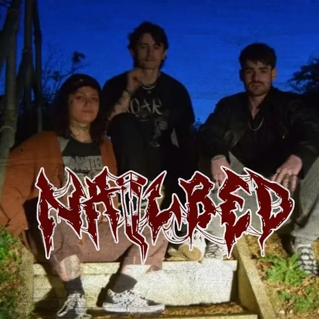 Live music in Ipswich with Nailbed