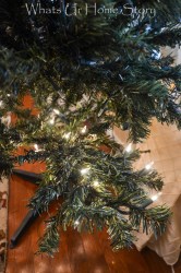 tree lights christmas hang string hanging story