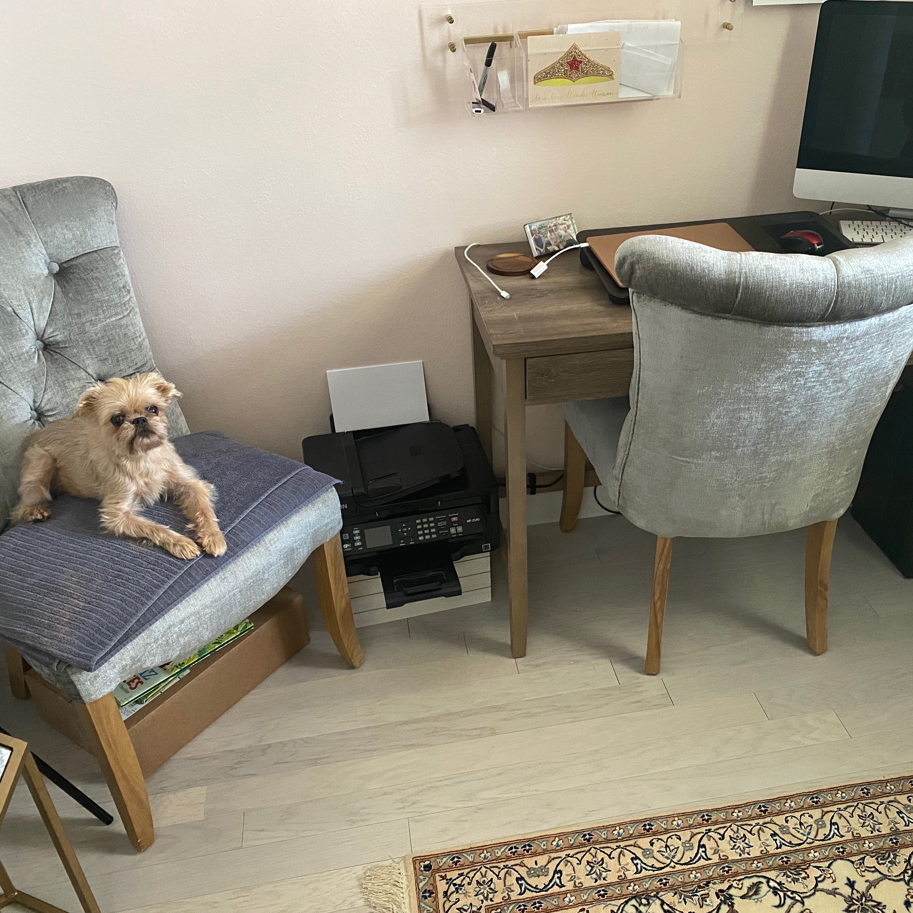 Sophia's desk
