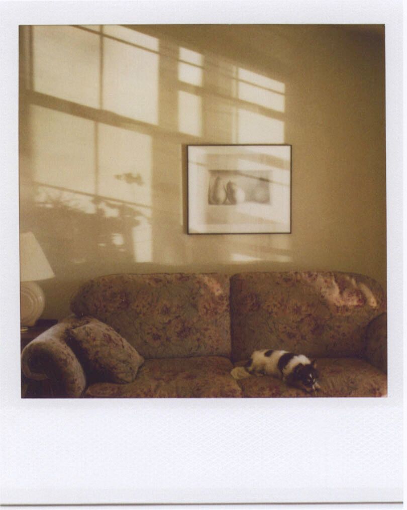 “Ruby at Home – Polaroid, Fort Collins, Colorado, 2007” in “Notes From A Quiet Life” by Robert Benjamin (Radius Books, 2012).