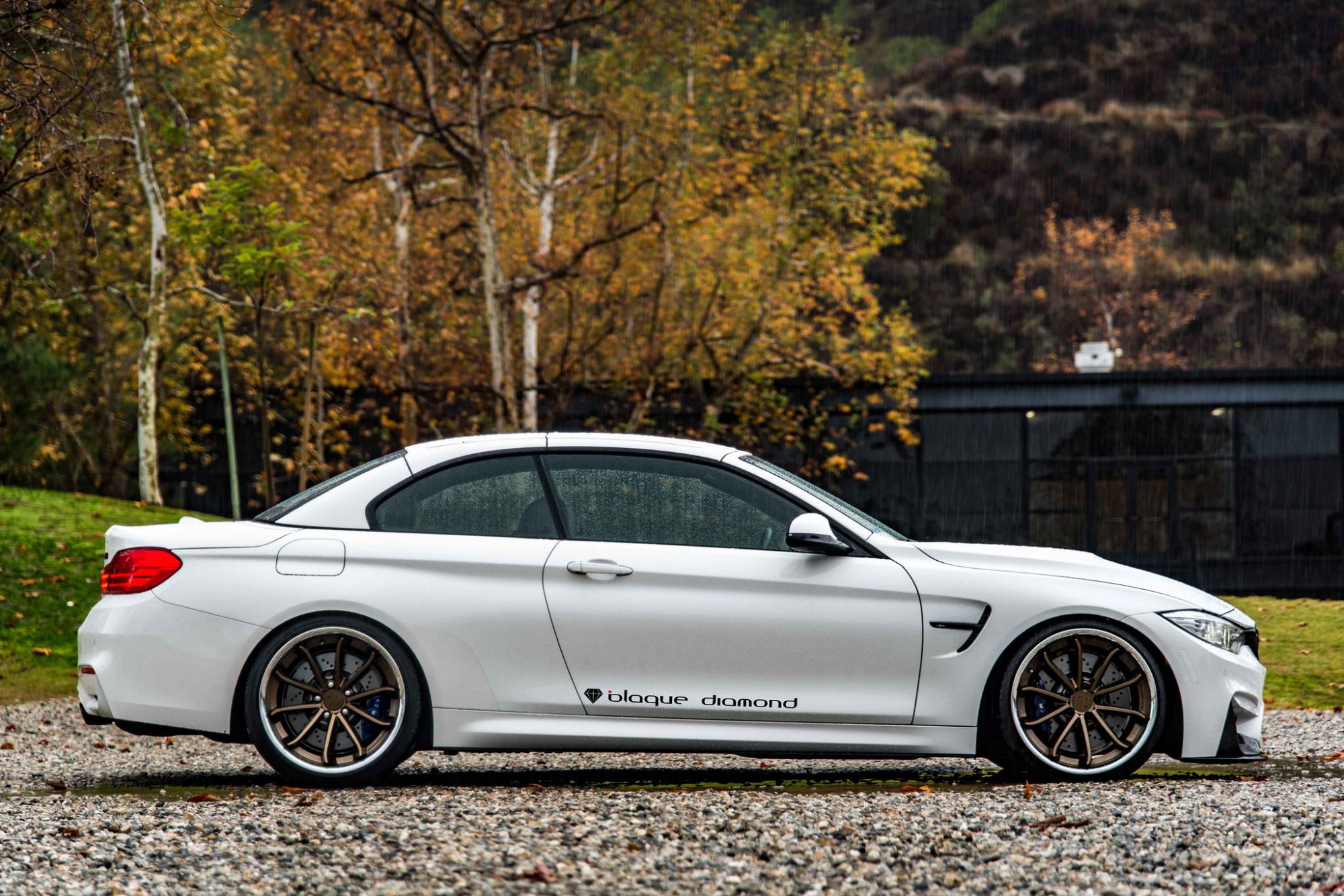 Bmw m4 f82/f83 white blaque diamond bd-23