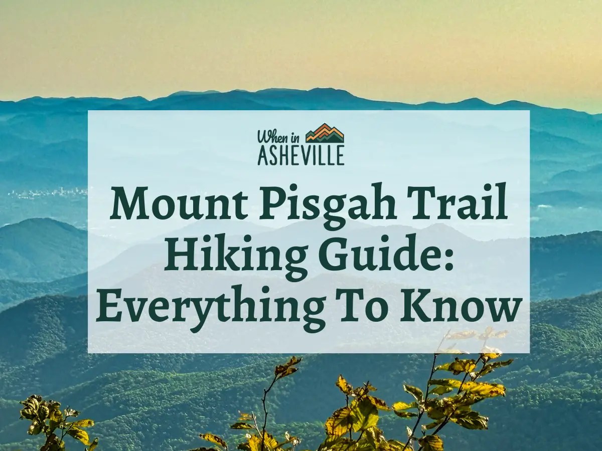 Craggy Gardens On The Blue Ridge Parkway Everything To Know When In Mount Pisgah Trail Guide.webp