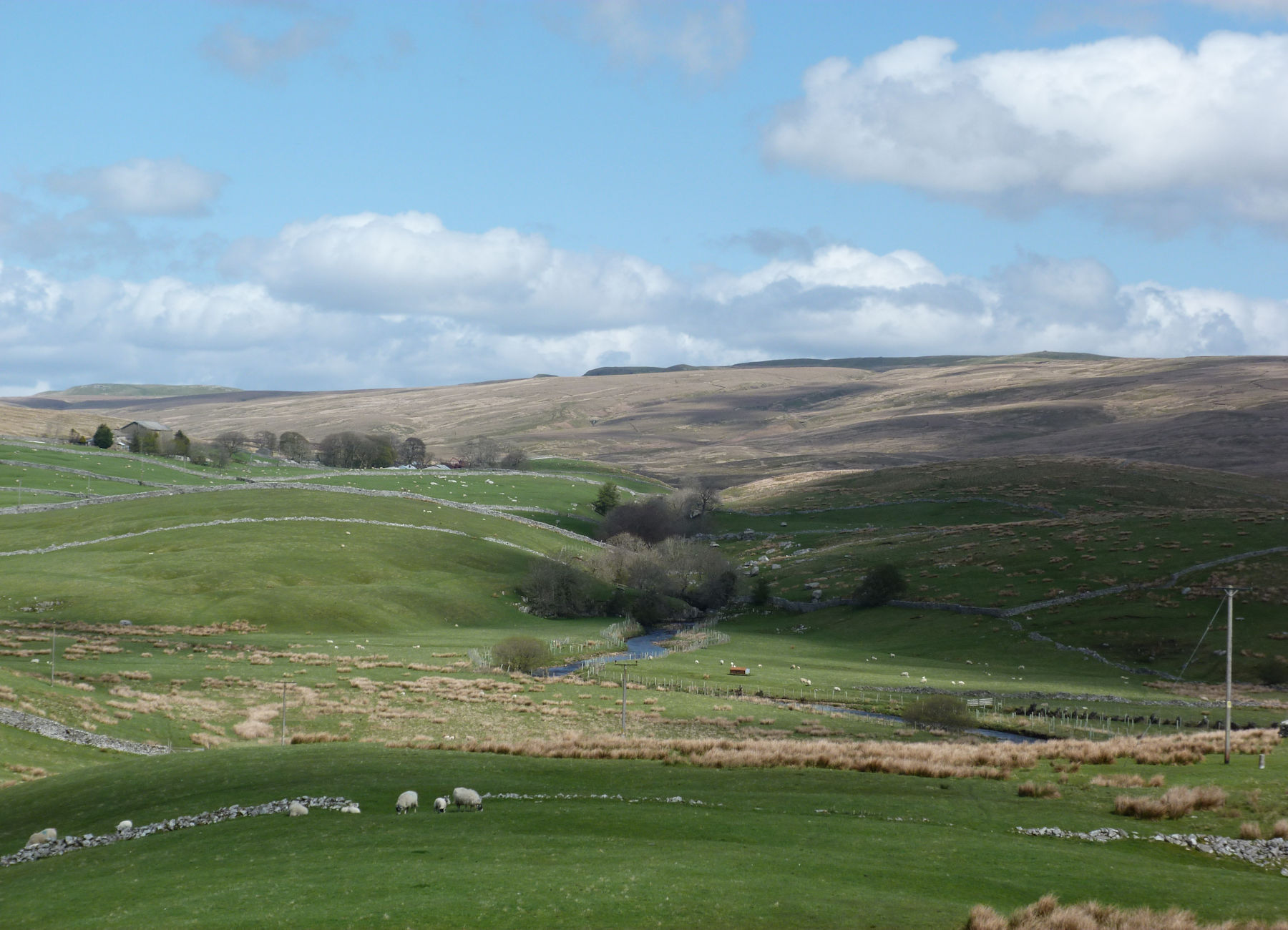 Near Ribblehead