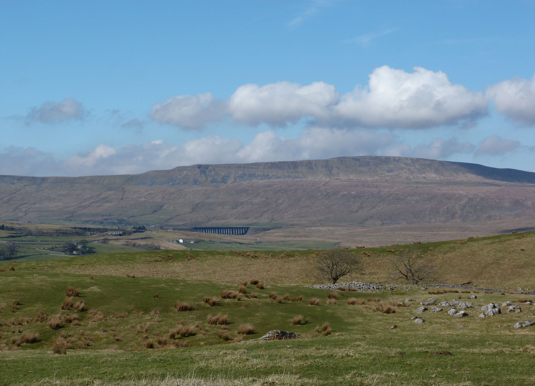 Whernside & Ribblehead