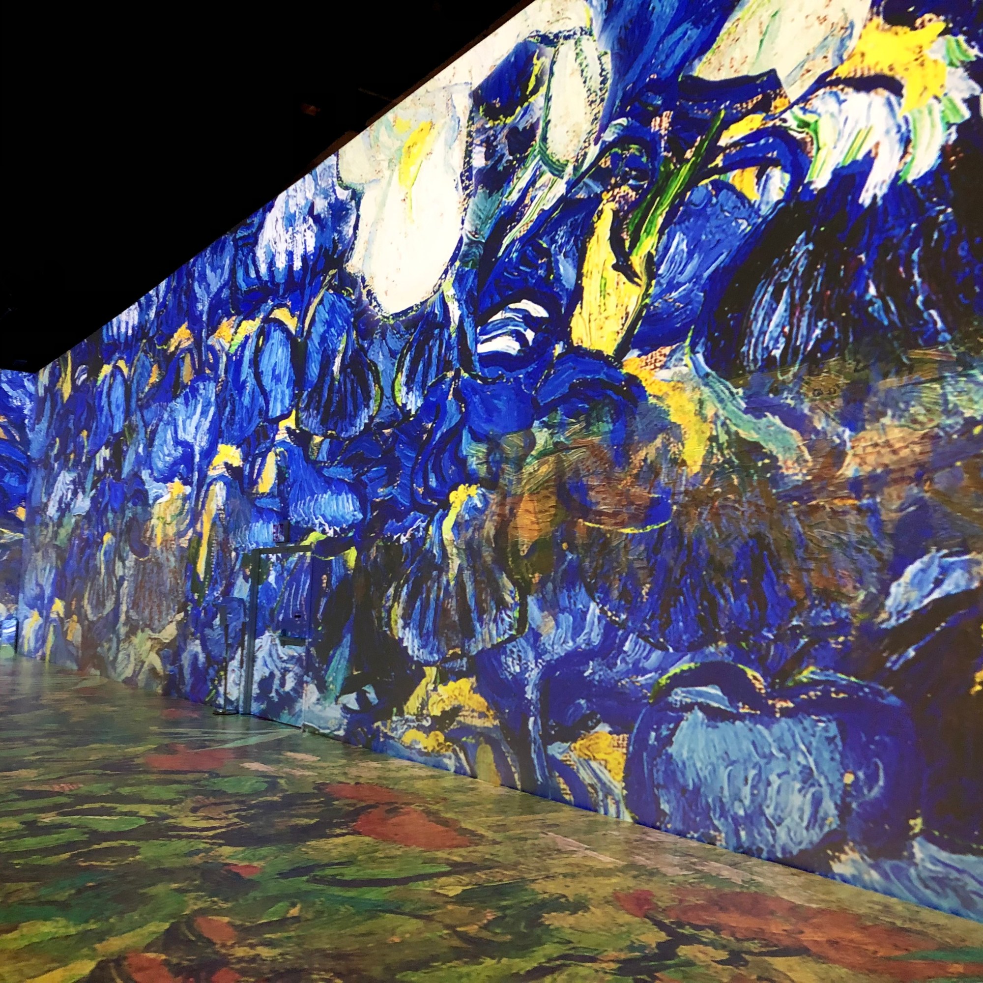 Van Gogh, Irises
