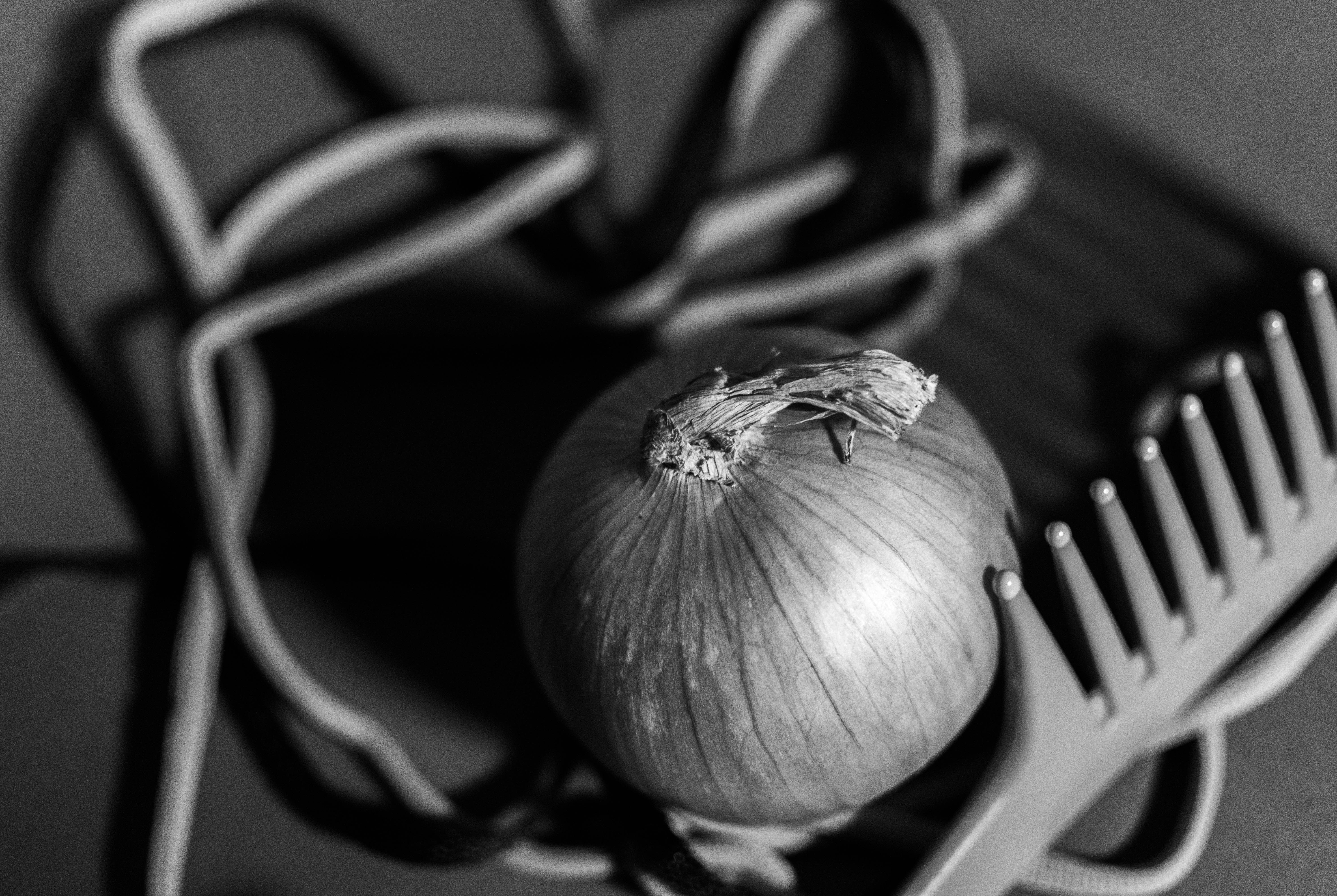 Onion, Shoe lace and Comb Where Creativity Works