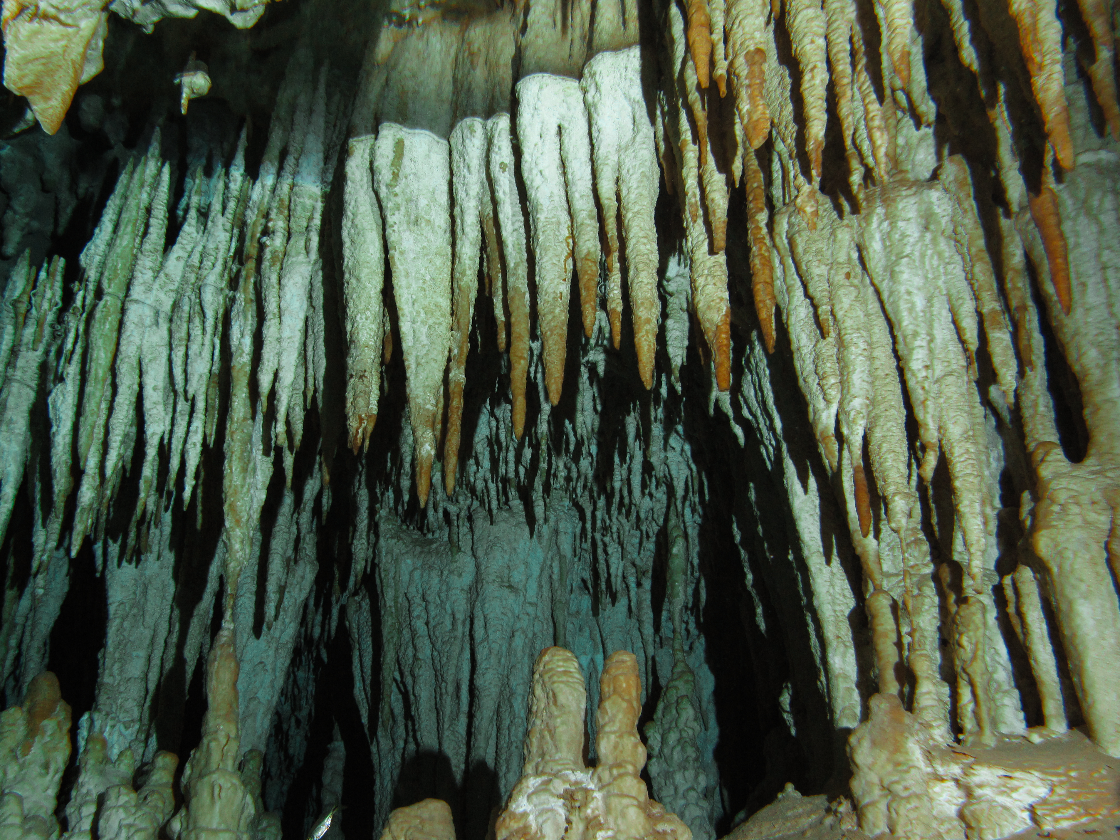 Cenote Dos Ojos Where It's Blue