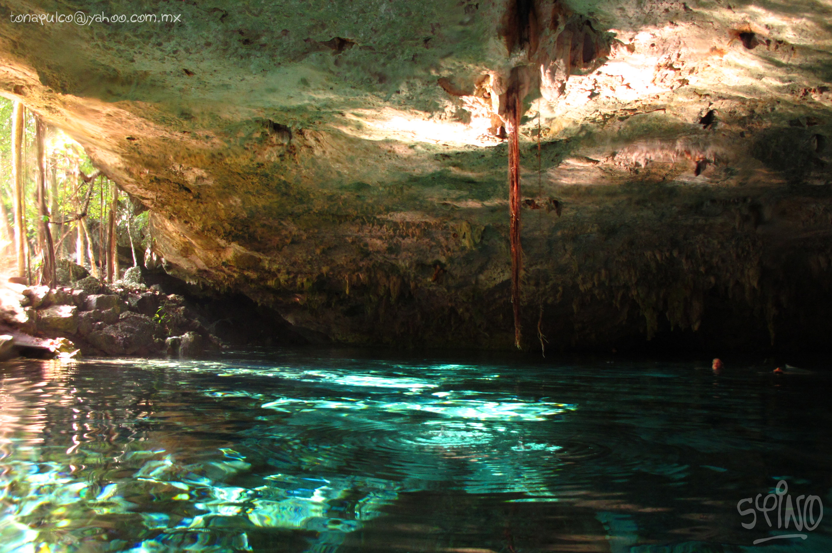 Where It's Blue Scuba Diving Dos Ojos