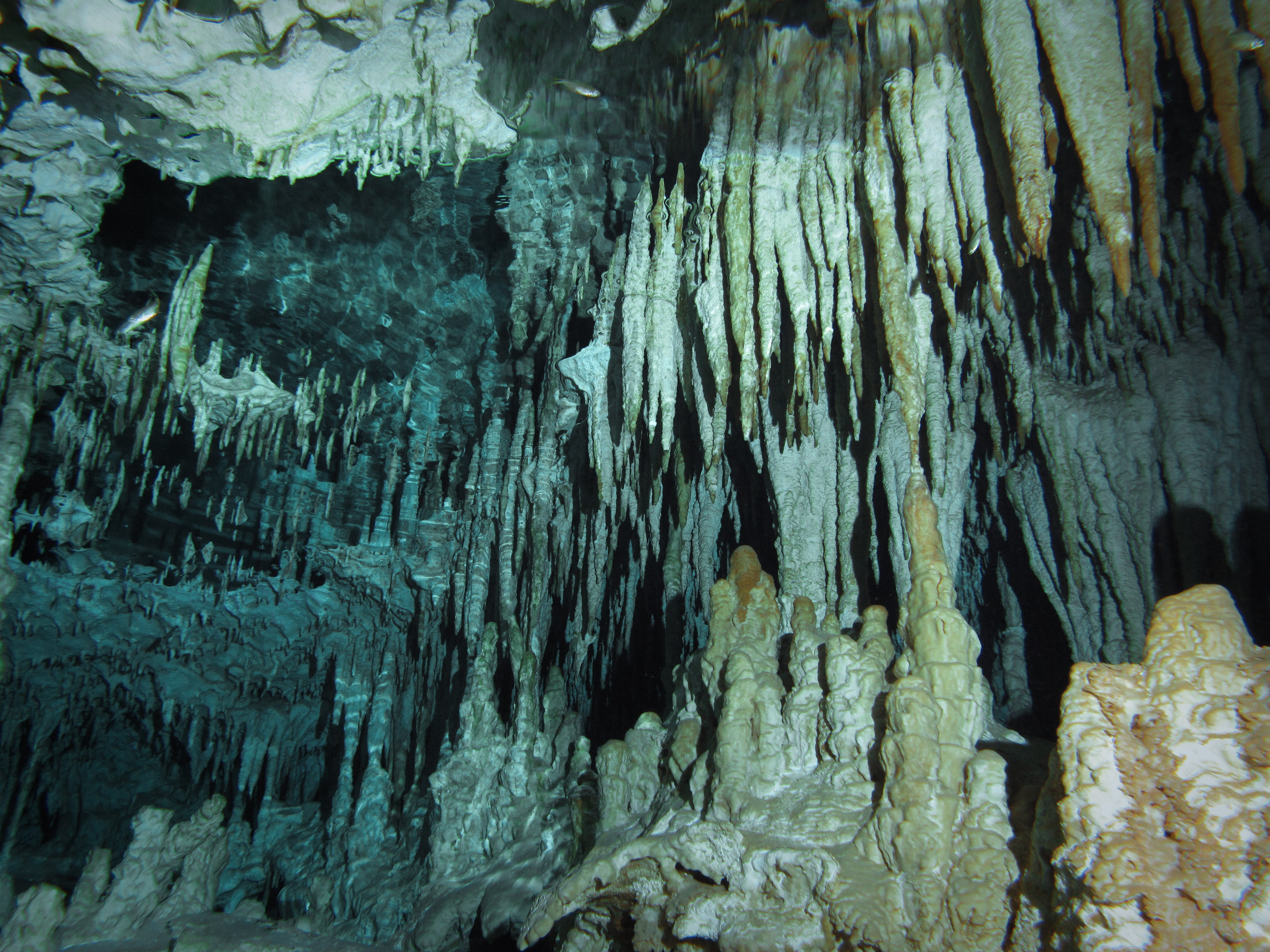 dos-ojos-cenote-yucatan