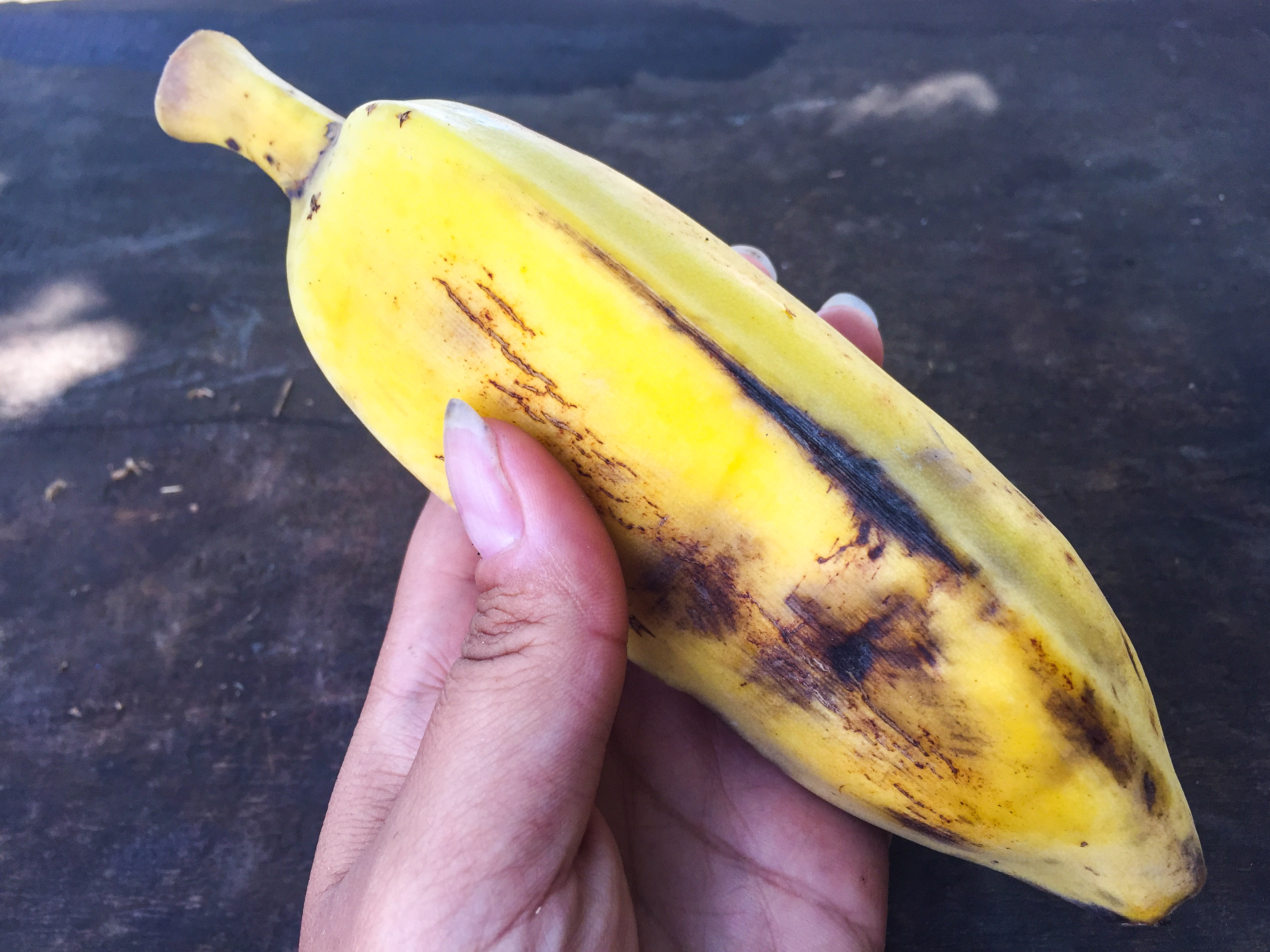 nusa-penida-bali