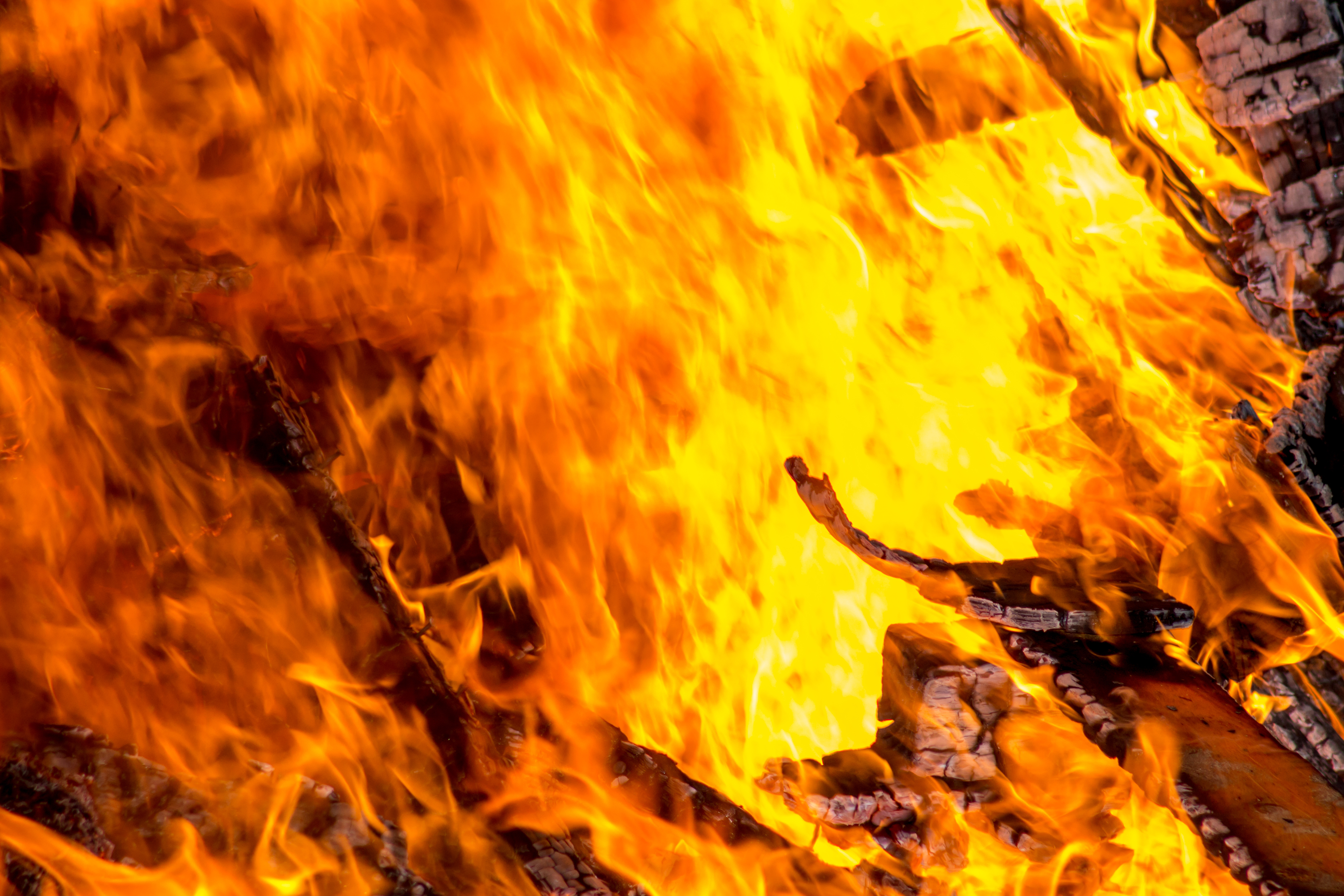 How Schism is Ignited