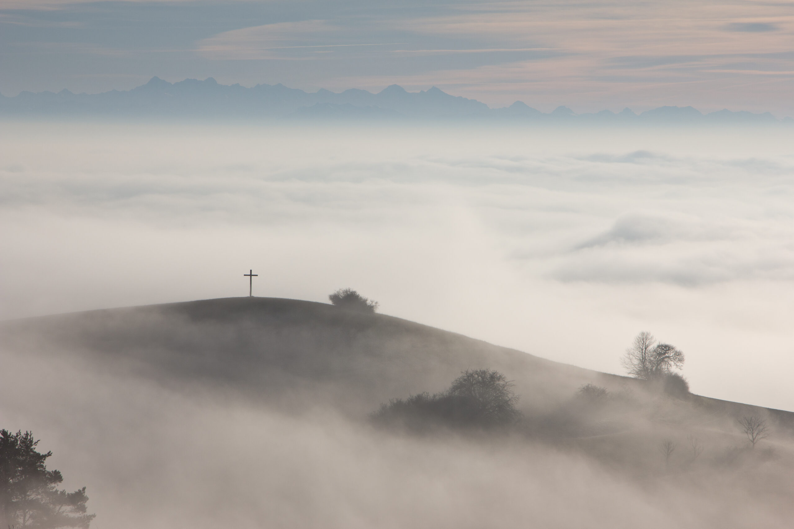 Dishonest Dissent on the Catholic Left