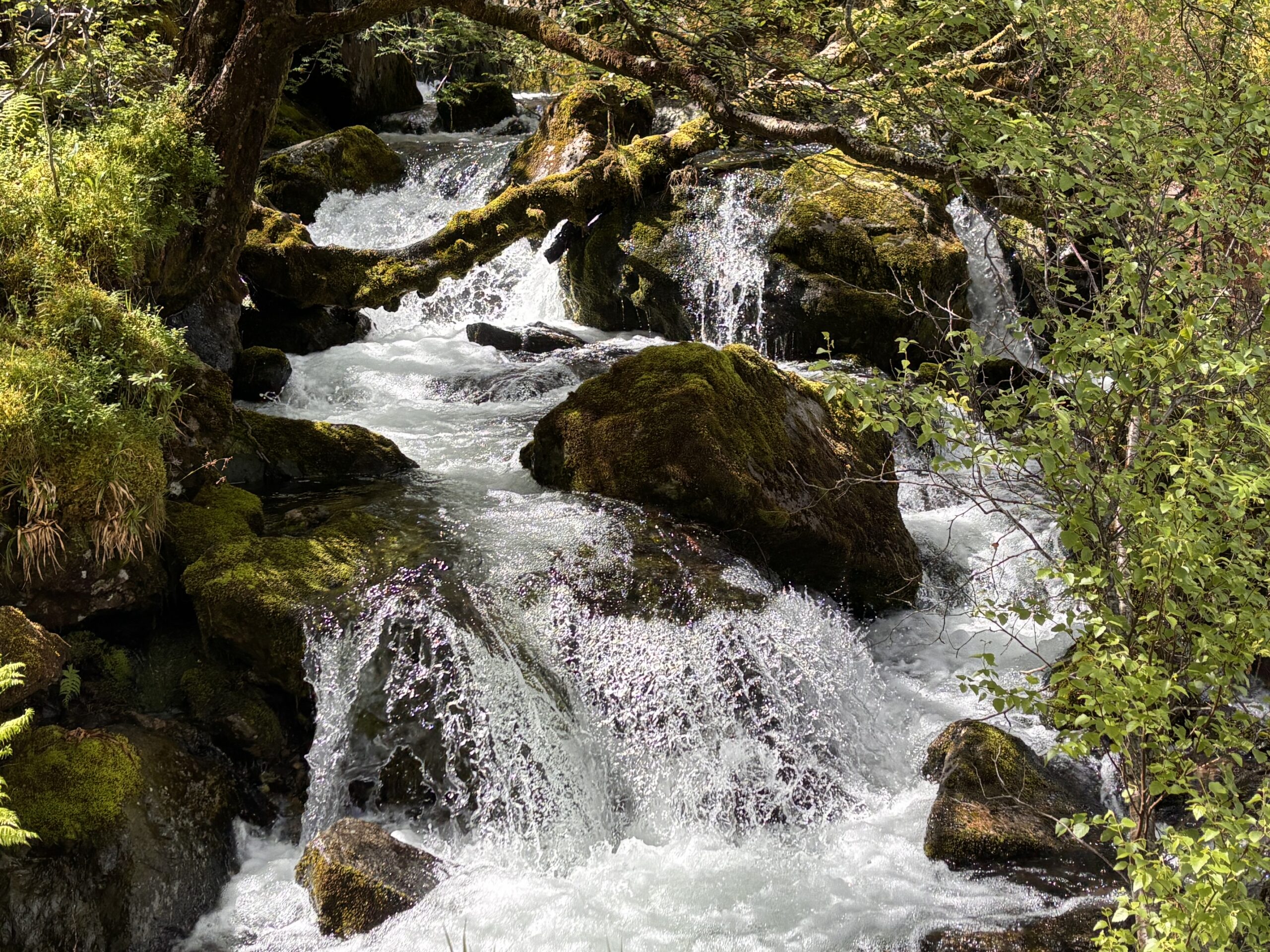 Papal Prayer for September: The Care of Water