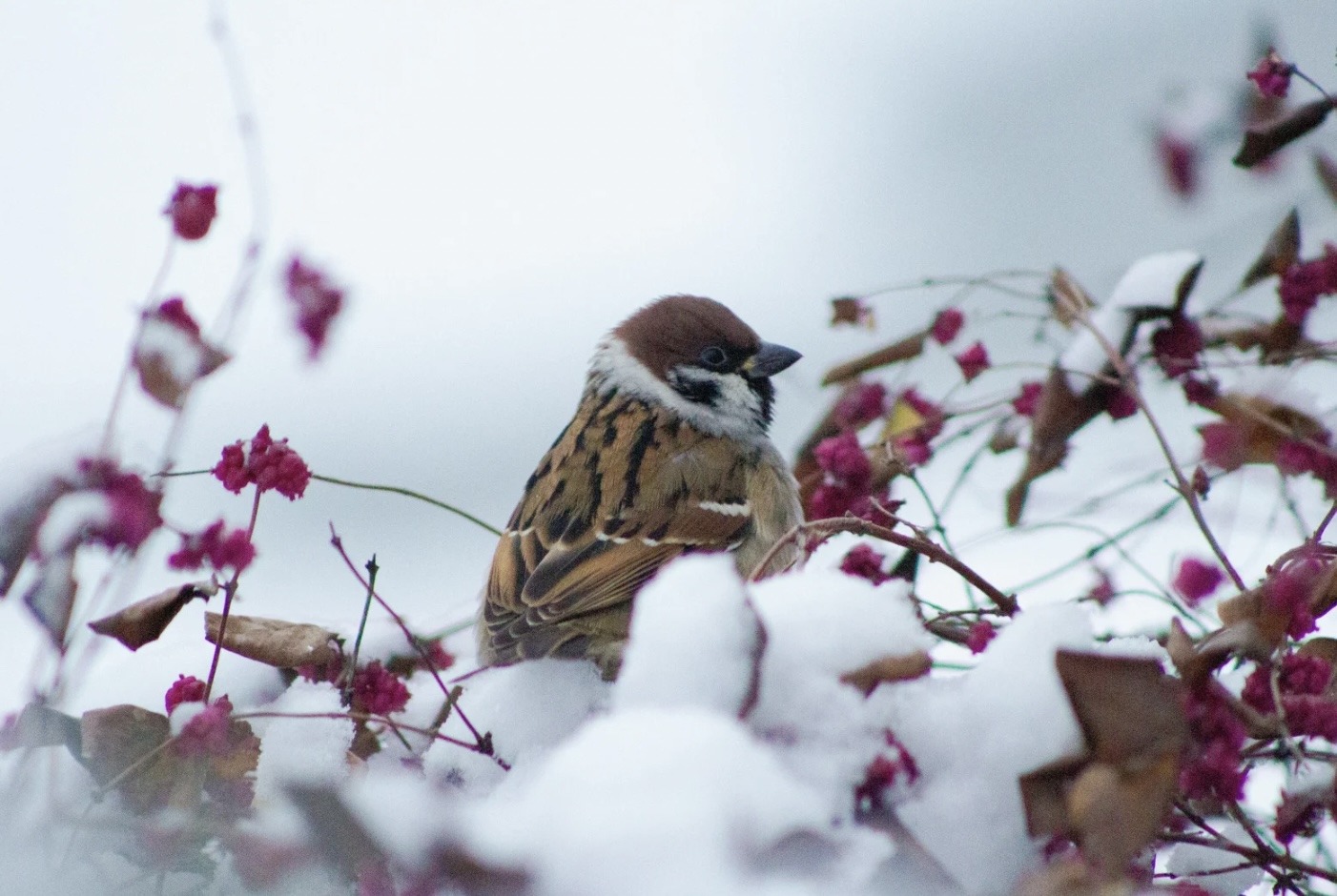 God In The Garden – A Time for Rest  