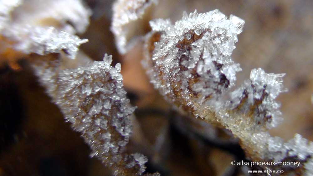 Travel theme: Frozen