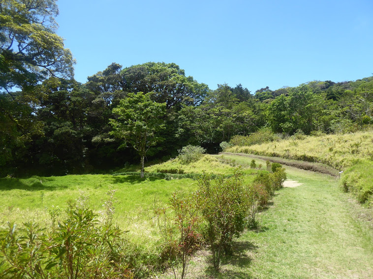 Quetzel Hunting in Monteverde, Costa Rica