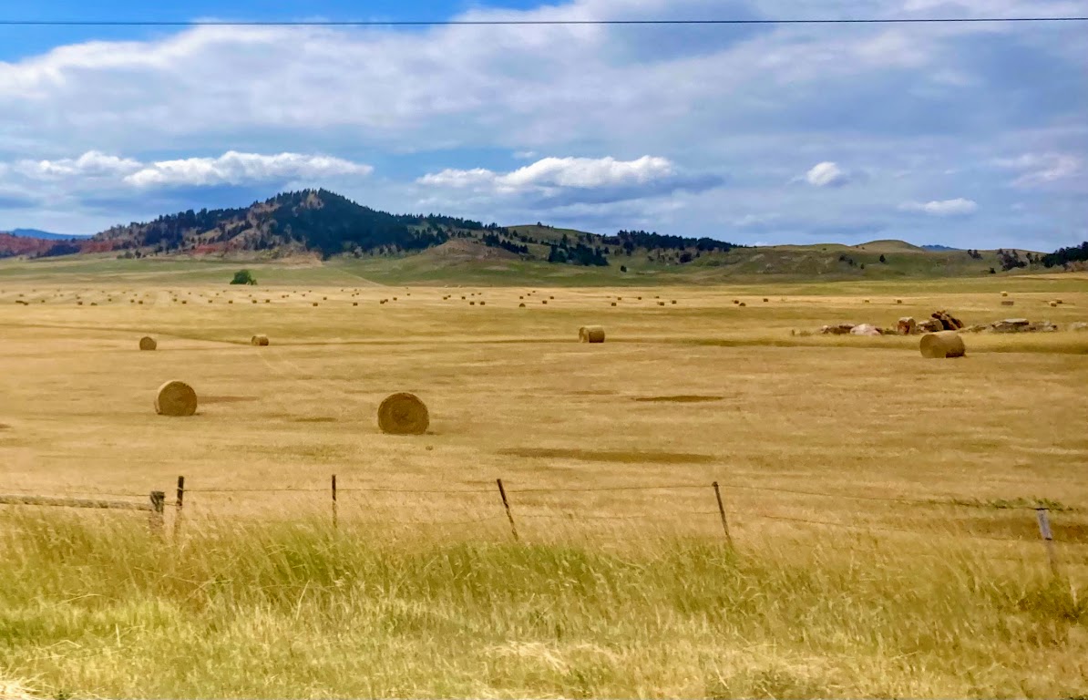 The Human Toll of Oppressive Heat