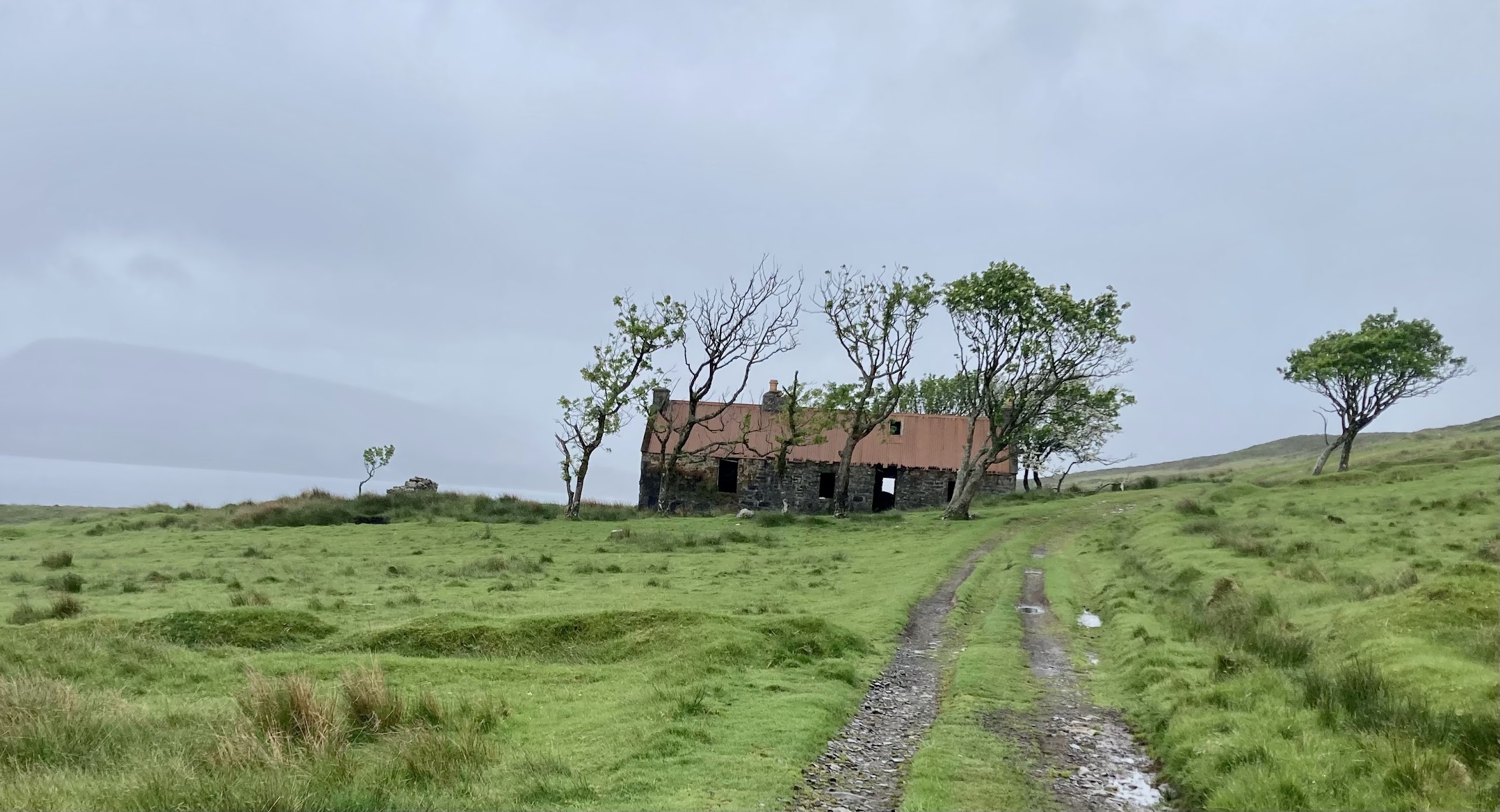 Days 5 and 6: Lambs and Lochs, Wind and Rocks