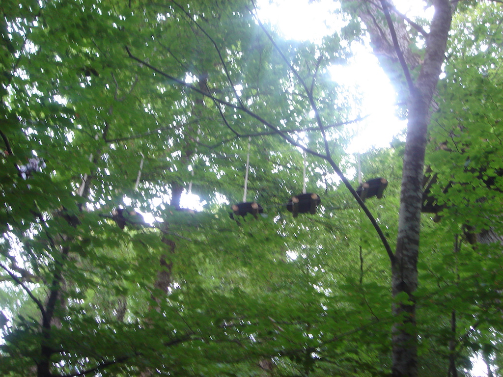 Lough Key Forest Park