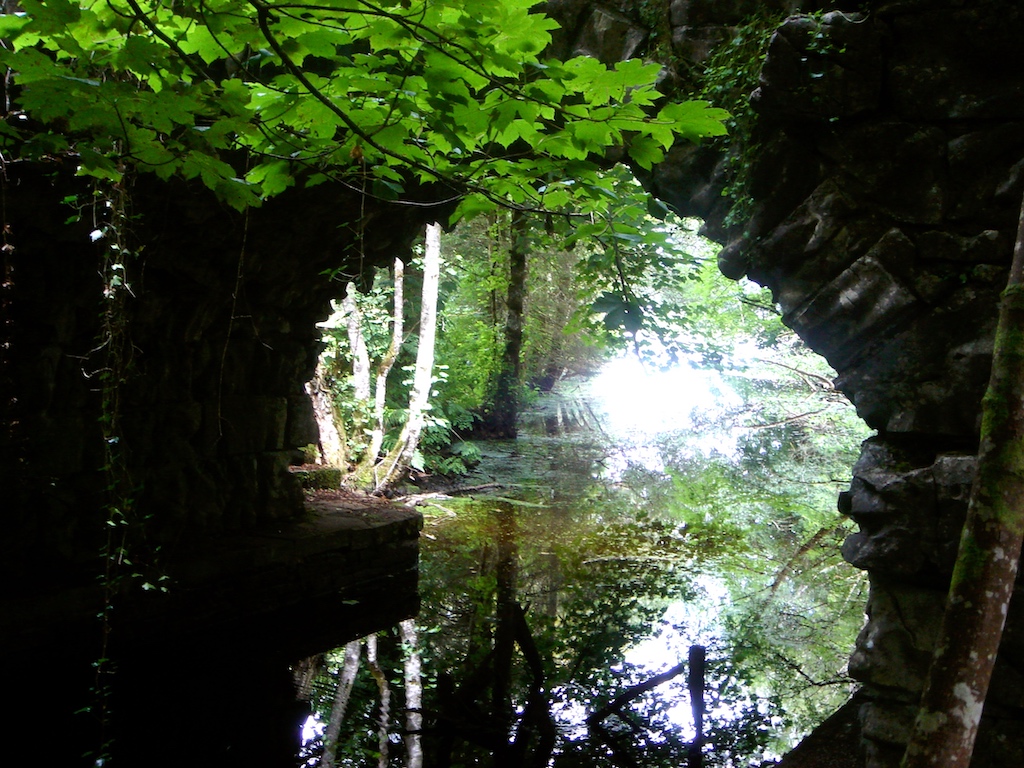 Lough Key Forest Park