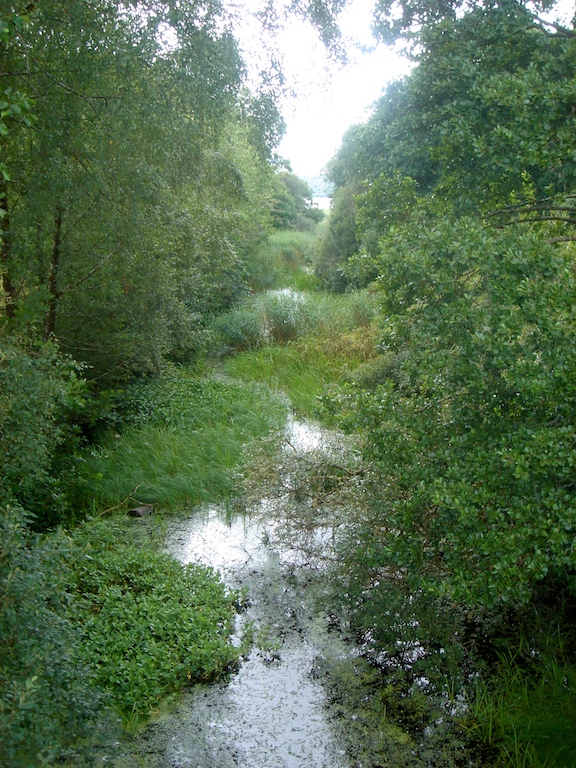 Lough Key Forest Park