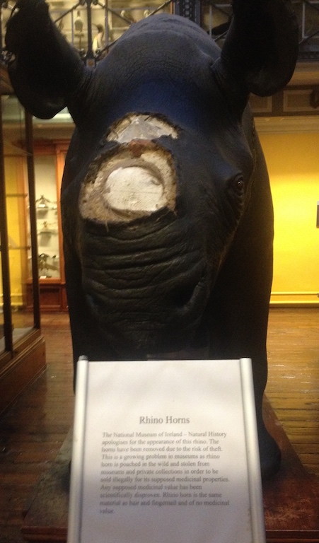 The Dead Zoo, Dublin