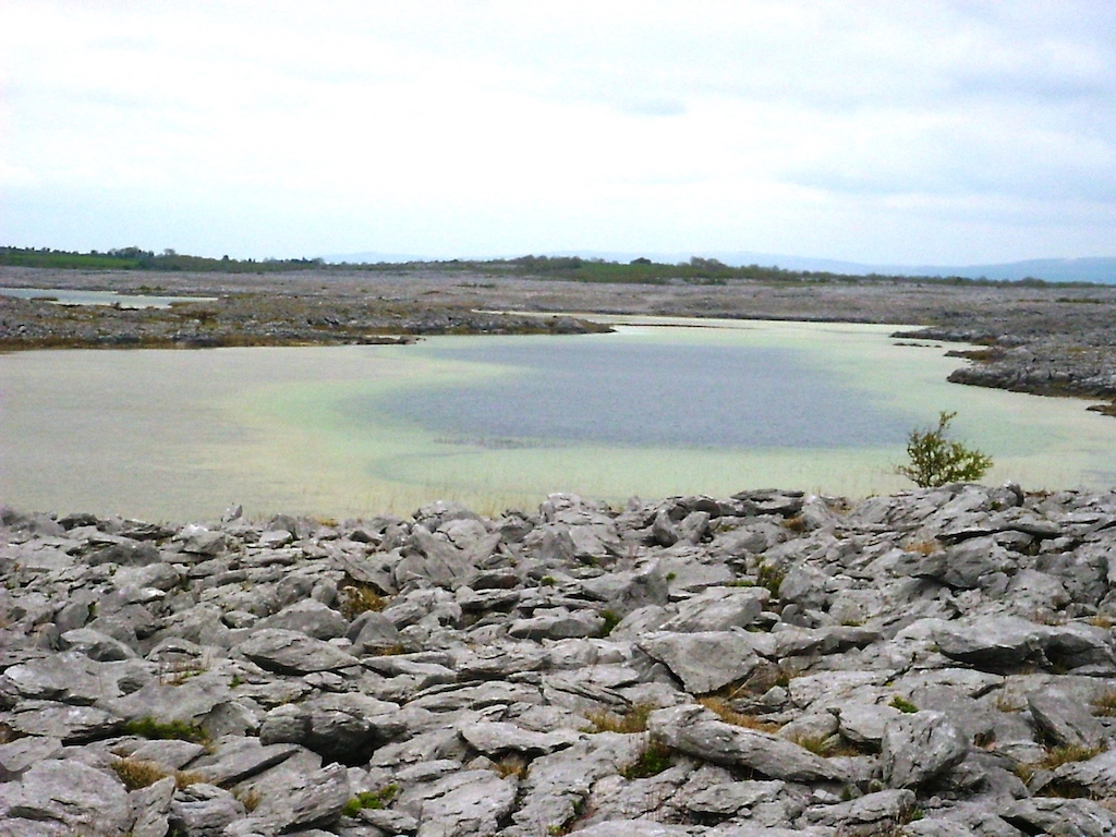 Burren, Clare